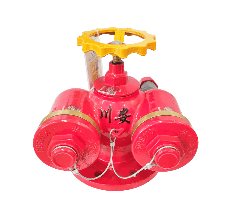 地上多用式水泵接合器