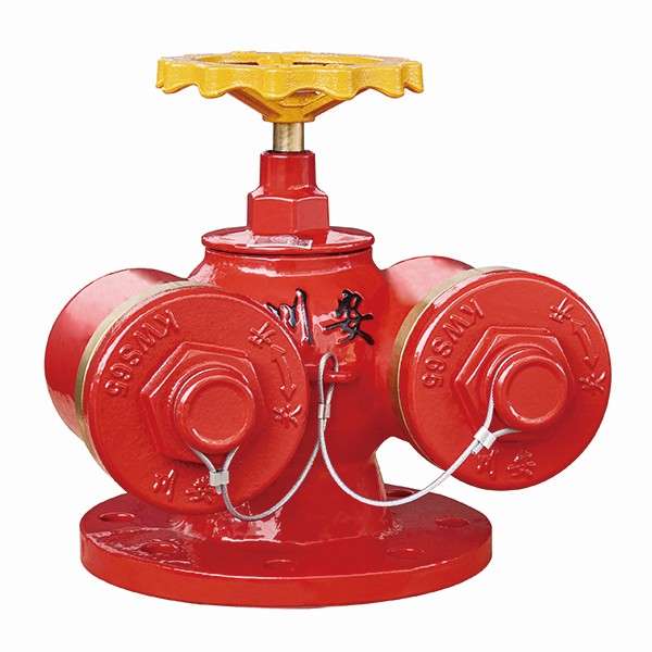 地上多用式水泵接合器